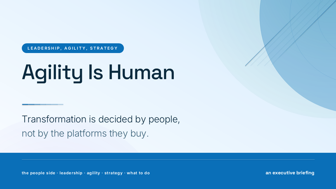 Agility Is Human: Leadership, Agility and Strategy (50 Slides) preview