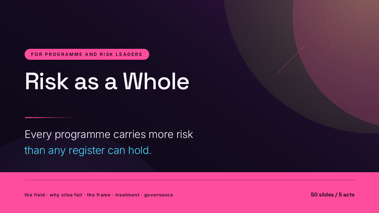 Risk as a Whole: Holistic Risk Management in Transformation (50 Slides) preview
