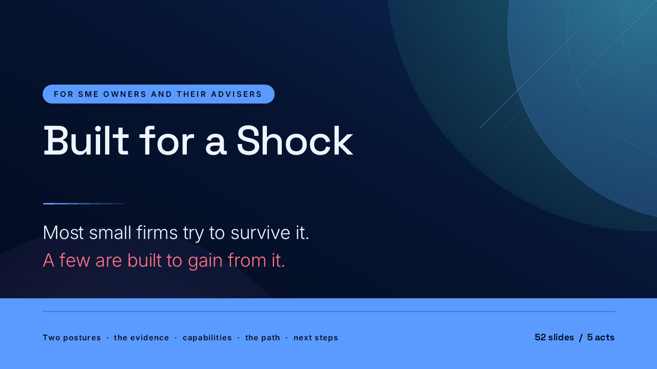 Stronger After Shock: SME Resilience and Antifragility (52 Slides) preview