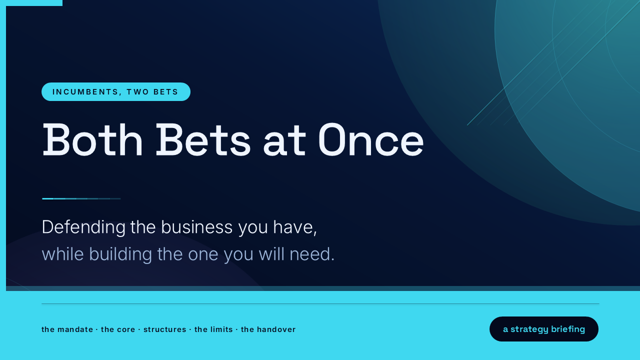 Both Bets at Once: Incumbents, Defence and the New (50 Slides) preview