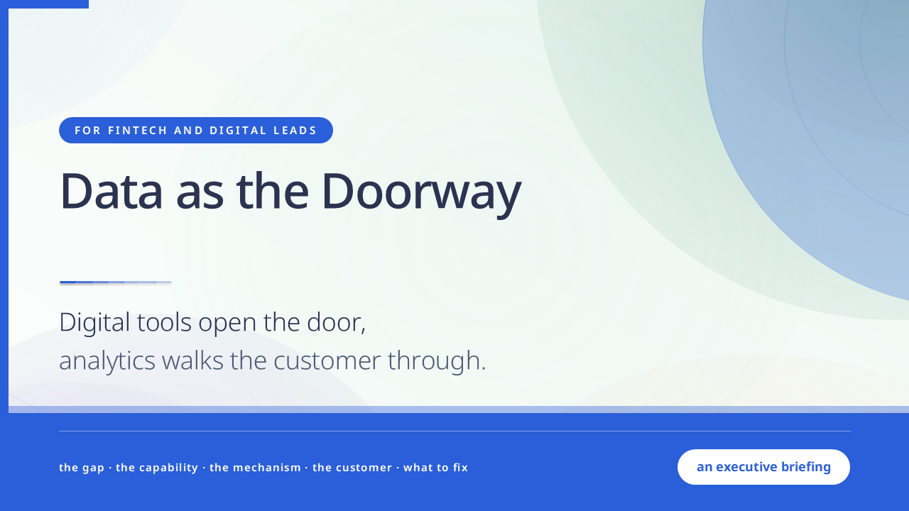 Data as the Doorway: Analytics and FinTech Adoption (50 Slides) preview