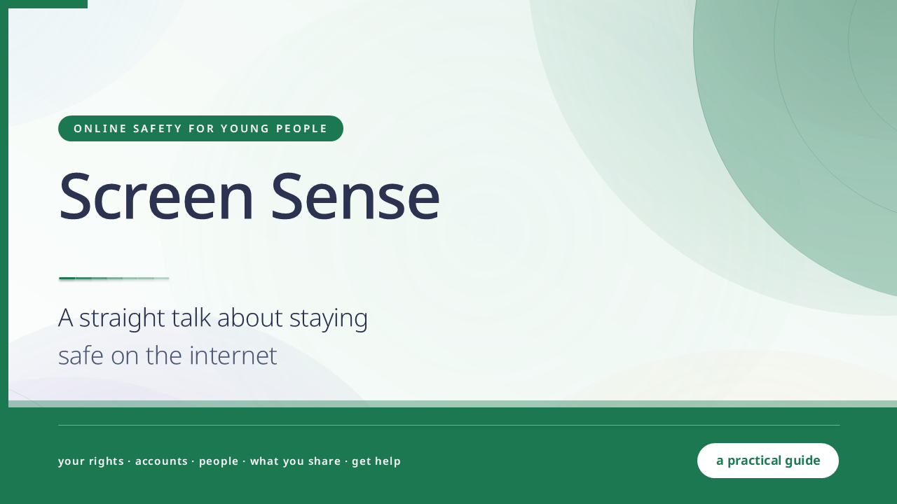 Screen Sense: Online Safety for Children and Teens (50 Slides) preview