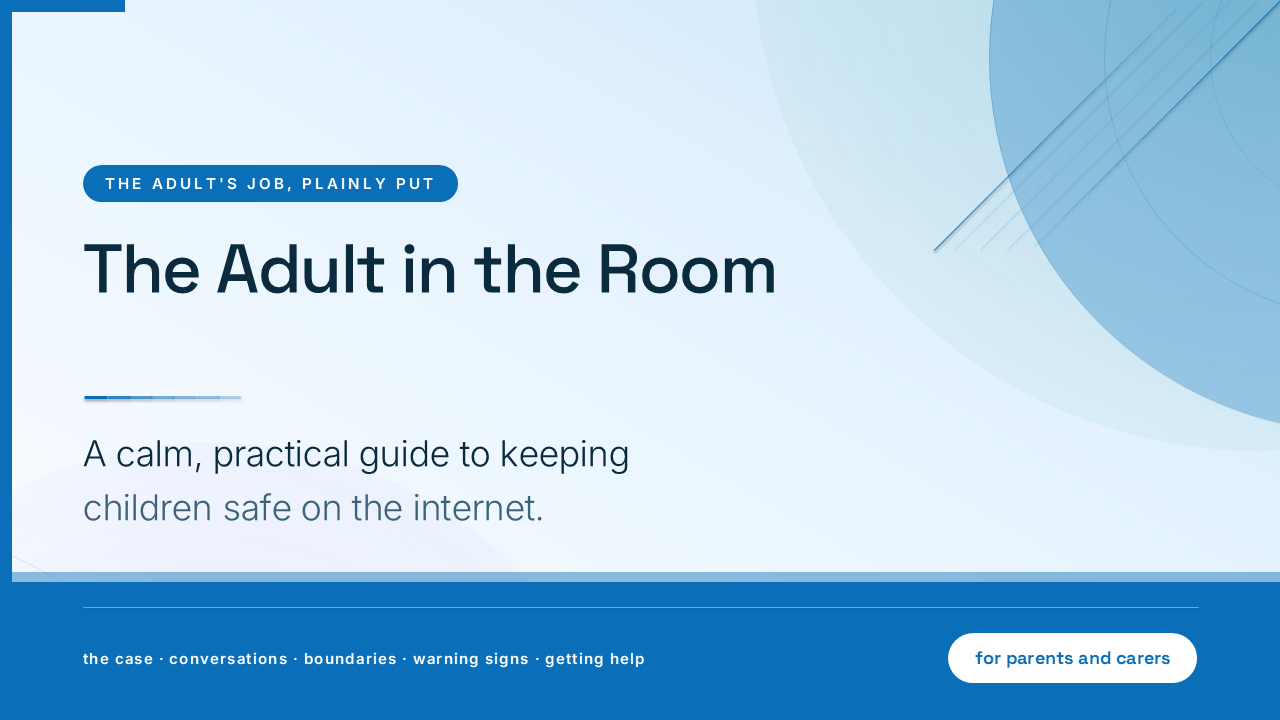The Adult in the Room: Online Safety for Parents and Carers (50 Slides) preview