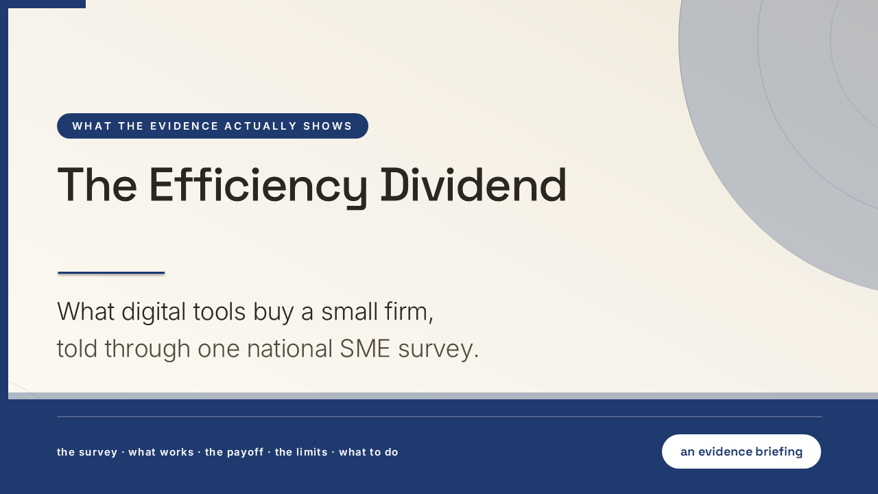 The Efficiency Dividend: Digital Transformation in SMEs (50 Slides) preview