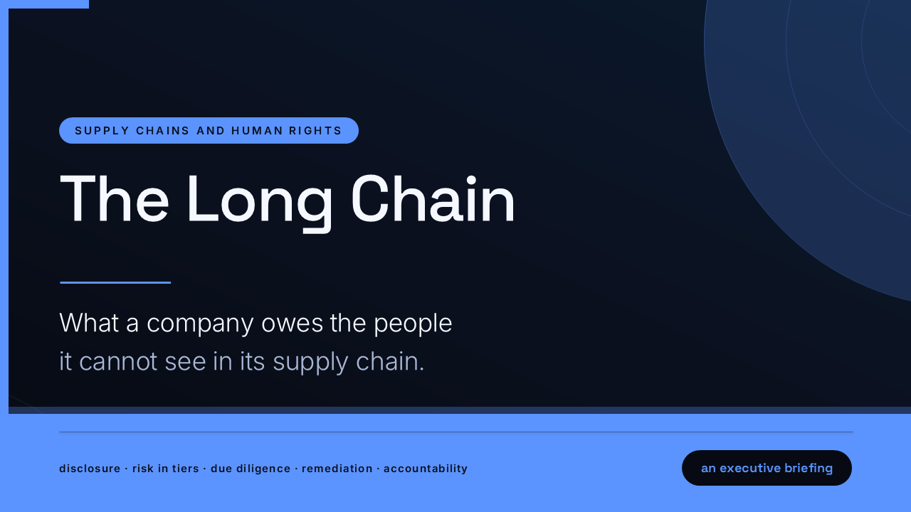 The Long Chain: Modern Slavery in Supply Chains (50 Slides) preview